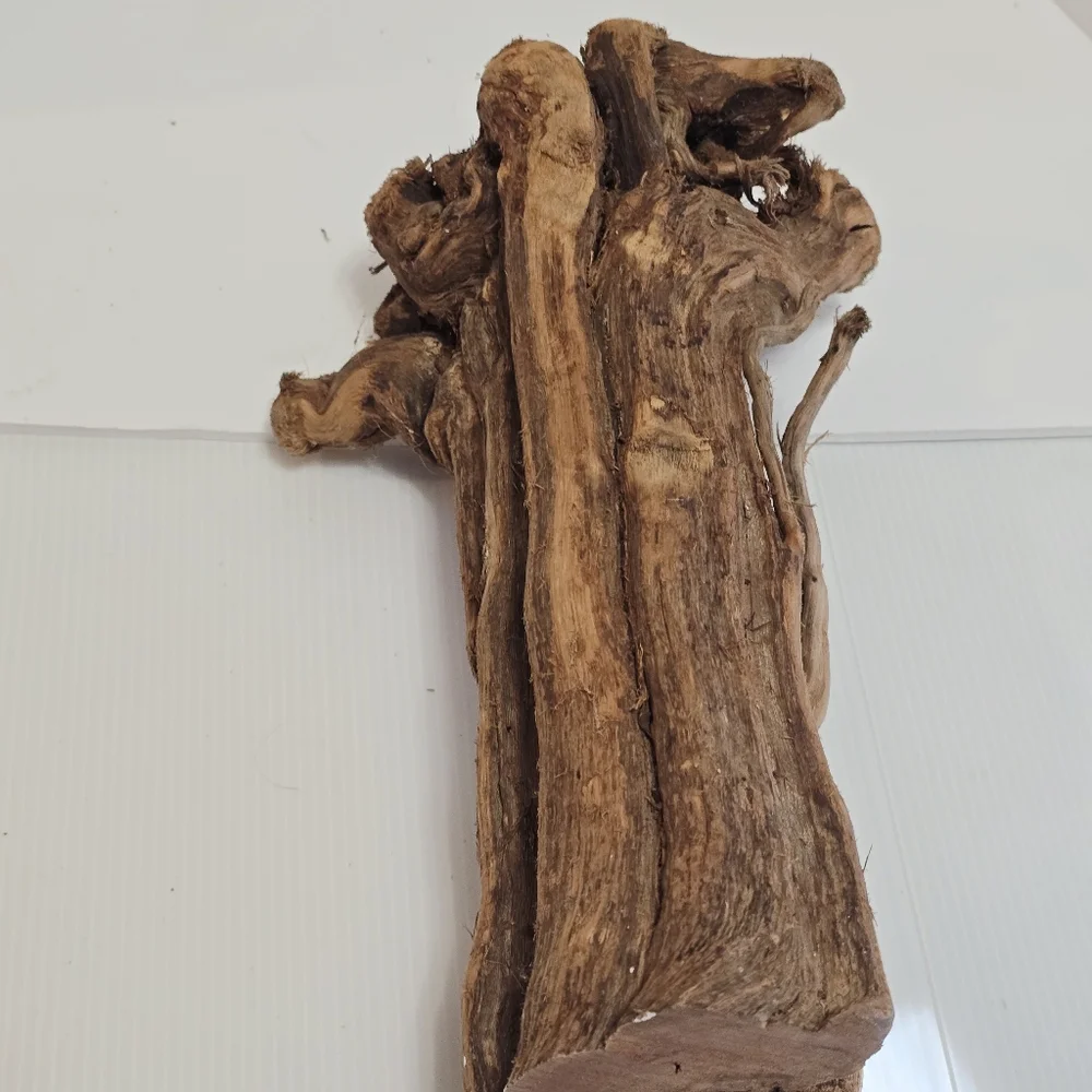 All Living Things Reptile Driftwood
